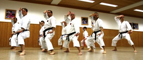 Winter-Gasshuku in Göttingen mit Sensei Luis Nunes