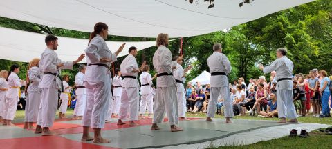 Japanfest München 2025 @ Englischer Garten